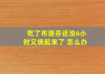 吃了布洛芬还没6小时又烧起来了 怎么办